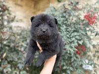 processed/d85c10b8-5c1b-49ab-8019-e199b1c18b5e/listing/f5c0b3bc-1198-4b5a-bc0c-d604fa198c38/974f2b3b-8b72-4bb4-8e69-cb2baa6e1e36