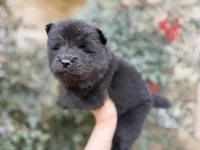 processed/d85c10b8-5c1b-49ab-8019-e199b1c18b5e/listing/f5c0b3bc-1198-4b5a-bc0c-d604fa198c38/ed9e1098-b83d-40ff-aacb-005d885cef13