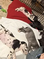 processed/d866c618-4ca3-44e0-a7e1-06a18ab72bb5/facility/cc7e166e-b9a3-48e3-90e2-4552953adef5