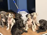 processed/d866c618-4ca3-44e0-a7e1-06a18ab72bb5/facility/ed9ba28a-a8ff-402e-a741-7ff9638ffe51