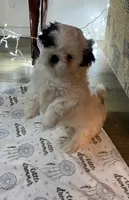 processed/d869b77e-d812-4032-8bb3-d4325e8e24eb/facility/2a10b9df-0976-4041-902d-17d94829f24a