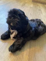 processed/d869b77e-d812-4032-8bb3-d4325e8e24eb/facility/30fd512c-88bf-4bc8-bd1a-41cee290126e