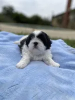 processed/d869b77e-d812-4032-8bb3-d4325e8e24eb/facility/4f6e1a0c-ae08-41da-960c-26f0ea10e505