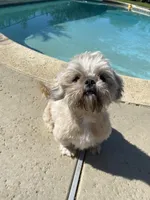 processed/d869b77e-d812-4032-8bb3-d4325e8e24eb/facility/84fb0f02-cef0-408e-884e-7c6e8ff1db13