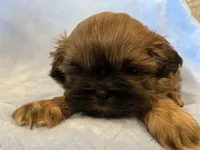 processed/d869b77e-d812-4032-8bb3-d4325e8e24eb/facility/baa333fd-fb24-44ec-80a8-ecf8b855f686