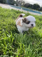 processed/d869b77e-d812-4032-8bb3-d4325e8e24eb/facility/c4c1b4b2-8e24-4d41-803c-faf23cd2f679