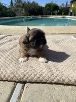 processed/d869b77e-d812-4032-8bb3-d4325e8e24eb/facility/d429e605-c323-4f4e-836a-4468e80eed79