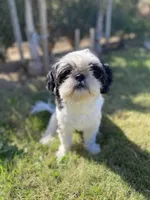 processed/d869b77e-d812-4032-8bb3-d4325e8e24eb/facility/d682a975-59e3-4d40-8c12-6fb003a98795