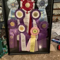 processed/d86c979d-5d64-4f44-9265-059aa94280de/facility/1a59d30d-dc23-49f9-9403-f63b63b3703e