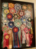 processed/d86c979d-5d64-4f44-9265-059aa94280de/facility/30f45260-610d-4cf3-907c-077df139a96f