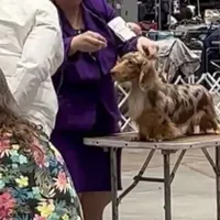 processed/d86c979d-5d64-4f44-9265-059aa94280de/facility/4929f9fe-8ffb-4e64-a0a1-c37005b60ec3