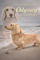 Russian, a male Miniature Dachshund for sale in Oneonta, NY – Photo 9 of 10