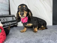 processed/d86c979d-5d64-4f44-9265-059aa94280de/listing/183e87d0-e5ae-42e4-8d54-821f7e062799/6c47bea3-8f1d-4194-9433-bc70511d716c