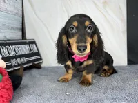 processed/d86c979d-5d64-4f44-9265-059aa94280de/listing/183e87d0-e5ae-42e4-8d54-821f7e062799/a990bac3-be16-4f5a-b1f9-0ada6fea11c6