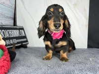 processed/d86c979d-5d64-4f44-9265-059aa94280de/listing/183e87d0-e5ae-42e4-8d54-821f7e062799/cd0f114d-6056-4828-a57b-66437c9a4661