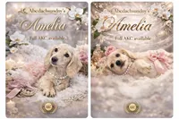 Full AKC amelia, a female Miniature Dachshund for sale in Oneonta, NY – Photo 2 of 2