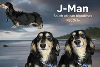 processed/d86c979d-5d64-4f44-9265-059aa94280de/listing/340ea887-8154-4800-9d31-6a79ccd5cabe/61ff6708-2ee6-4d48-a363-858ecac09563