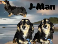 processed/d86c979d-5d64-4f44-9265-059aa94280de/listing/340ea887-8154-4800-9d31-6a79ccd5cabe/629c255d-da2f-44ca-85c2-f9b8b767ce72