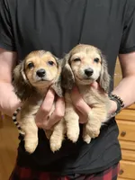 processed/d86c979d-5d64-4f44-9265-059aa94280de/listing/56d071ad-c464-4ad7-ba45-b4c3ab18ef48/4a5efd03-cca0-4ccb-b14c-7a587bdb19f9