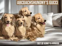 processed/d86c979d-5d64-4f44-9265-059aa94280de/listing/56d071ad-c464-4ad7-ba45-b4c3ab18ef48/e089da19-7546-453b-9768-6c9f33f75897