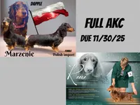 processed/d86c979d-5d64-4f44-9265-059aa94280de/listing/5b0322b5-43b6-42bb-9b84-0b7d01b5bc9d/c2e1793a-72b2-46e7-a425-9e00ed09e71d