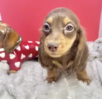 processed/d86c979d-5d64-4f44-9265-059aa94280de/listing/660bf886-fc0a-4870-924f-296a5bb7ab0e/4240ab95-d00c-4a44-adb1-7c7e386185fd