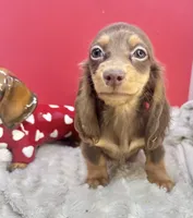 processed/d86c979d-5d64-4f44-9265-059aa94280de/listing/660bf886-fc0a-4870-924f-296a5bb7ab0e/c4f1f534-04cb-480a-9001-b22057cdf83a