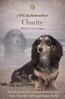 AKC S.African, a male Miniature Dachshund for sale in Oneonta, NY – 7 of 10