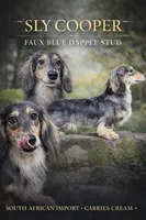 processed/d86c979d-5d64-4f44-9265-059aa94280de/listing/6d19574c-18c0-4bec-8c09-49816b08f27d/84869cb2-2bdc-4430-880a-39abf884f642