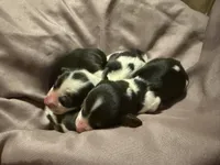 processed/d86c979d-5d64-4f44-9265-059aa94280de/listing/73ae9165-37b3-4dea-8b15-ff773360de62/354ca398-0674-4217-a3da-2d0760adeee6