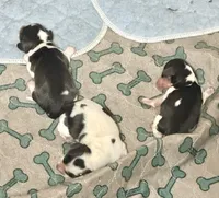 processed/d86c979d-5d64-4f44-9265-059aa94280de/listing/73ae9165-37b3-4dea-8b15-ff773360de62/e79bd7e5-2251-4003-8de8-84bddc93afe9