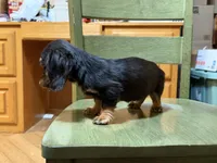 processed/d86c979d-5d64-4f44-9265-059aa94280de/listing/9625c8f8-f464-43b9-8f08-7292c976d7d8/30f3a231-8490-4862-9af2-de3848d4ff40