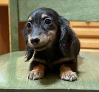 processed/d86c979d-5d64-4f44-9265-059aa94280de/listing/9625c8f8-f464-43b9-8f08-7292c976d7d8/7e834354-39df-4cb3-a79c-6e488f7764ac