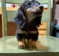 processed/d86c979d-5d64-4f44-9265-059aa94280de/listing/9625c8f8-f464-43b9-8f08-7292c976d7d8/ac328095-c83a-4d3e-a058-9cce086a9b0f