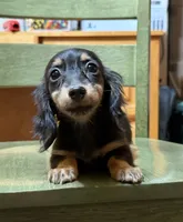 processed/d86c979d-5d64-4f44-9265-059aa94280de/listing/9625c8f8-f464-43b9-8f08-7292c976d7d8/eed91ff0-a592-487d-9be7-f99bdbff347d