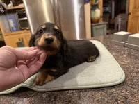 processed/d86c979d-5d64-4f44-9265-059aa94280de/listing/a467f31e-1726-4f2e-aed5-3d34da79e5bf/0b122e01-8be5-4e52-923b-131370db2d6b