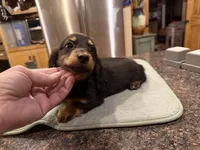 processed/d86c979d-5d64-4f44-9265-059aa94280de/listing/a467f31e-1726-4f2e-aed5-3d34da79e5bf/88d22273-e16f-4dfc-9eb5-d1fdea0ef720