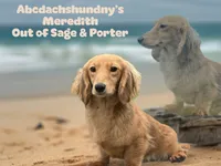 processed/d86c979d-5d64-4f44-9265-059aa94280de/listing/a467f31e-1726-4f2e-aed5-3d34da79e5bf/d77f40e0-1563-4da8-8ee5-3f3fecca9d2d