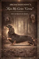 Import line AKc, a female Miniature Dachshund for sale in Oneonta, NY – Photo 8 of 8