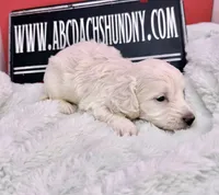 processed/d86c979d-5d64-4f44-9265-059aa94280de/listing/ba3664ca-1e31-4698-b1da-997e53e618a5/4aeb9475-b1e4-4180-bf23-84f83e5f83bf