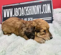 processed/d86c979d-5d64-4f44-9265-059aa94280de/listing/c4abcc22-0c3a-4385-be43-2fa36f70649f/029cd3b0-dfc1-44eb-857f-22d017c29552