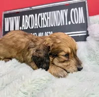 processed/d86c979d-5d64-4f44-9265-059aa94280de/listing/c4abcc22-0c3a-4385-be43-2fa36f70649f/58c08333-94cb-45a3-8594-5e50f2446581