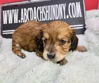 processed/d86c979d-5d64-4f44-9265-059aa94280de/listing/c4abcc22-0c3a-4385-be43-2fa36f70649f/5ff38519-c35b-4570-8323-7bcb61f17ace