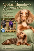 Ch Russian, a male Miniature Dachshund for sale in Oneonta, NY – 9 of 10