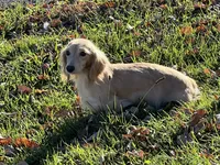 processed/d86c979d-5d64-4f44-9265-059aa94280de/listing/cdbc8219-eeb0-4cae-9677-f79e1826248f/59a9b8cf-e5fb-4129-8975-7aa77f45477e