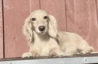 processed/d86c979d-5d64-4f44-9265-059aa94280de/listing/cdbc8219-eeb0-4cae-9677-f79e1826248f/6066c34f-5f91-4254-a200-bd99cdd895d5