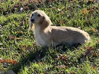 processed/d86c979d-5d64-4f44-9265-059aa94280de/listing/cdbc8219-eeb0-4cae-9677-f79e1826248f/78c1dd24-5bd0-4f87-a171-28bd5bba8a0d