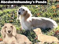 processed/d86c979d-5d64-4f44-9265-059aa94280de/listing/cdbc8219-eeb0-4cae-9677-f79e1826248f/a773ac53-448d-43f4-b9e7-80d32b28f703