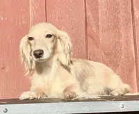 processed/d86c979d-5d64-4f44-9265-059aa94280de/listing/cdbc8219-eeb0-4cae-9677-f79e1826248f/d47e2055-e796-4319-80da-68f75937b35b