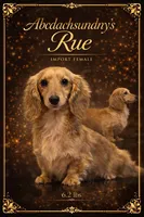 Eng Cream Import , a female Miniature Dachshund for sale in Oneonta, NY – Photo 8 of 8